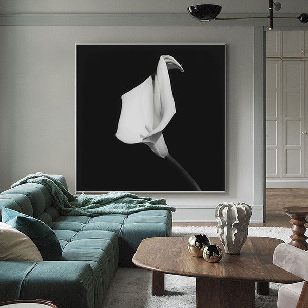 Alismatales black white photograph art  |  Anthurium flower monochrome plant #1003-149