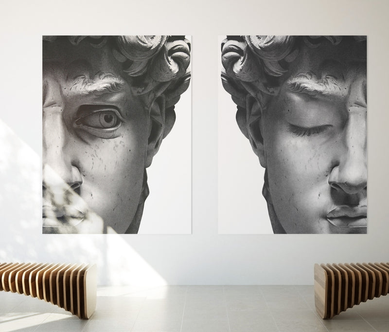 Classical sculpture pair | facial expression  | modern art canvas print #1003-95
