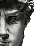 Classical sculpture pair | facial expression  | modern art canvas print #1003-95