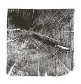 Black white monochrome photography | Tree profile matching set #441