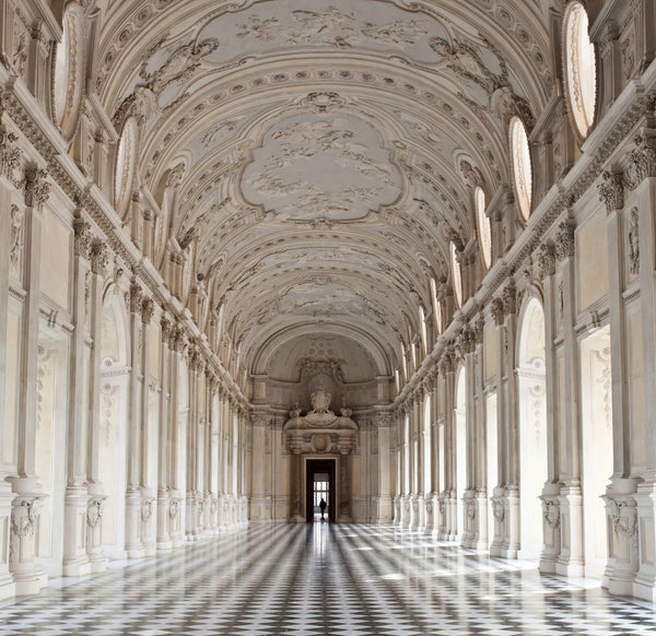 Italy Royal Palace: Galleria di Diana, Venaria archecture building photography #258