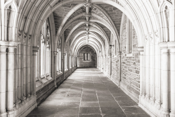 Abbey aisle arcade architecture, Black-and-white building | Classical cathedral | Gothic hall | Medieval monochrome photography #637