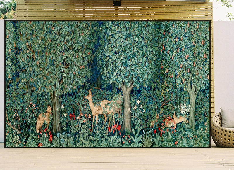 Fresh Forest -Box Frame Canvas Print - 180 x 110cm, 130 x 70cm - Wall Liberation