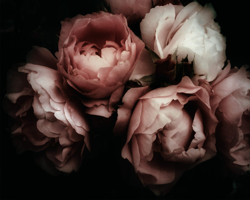 Blossom flower bunch photography art prints matching set | oversize canvas wall art #1182