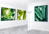 Tropical leafy green - large framed wall art - Wall Liberation