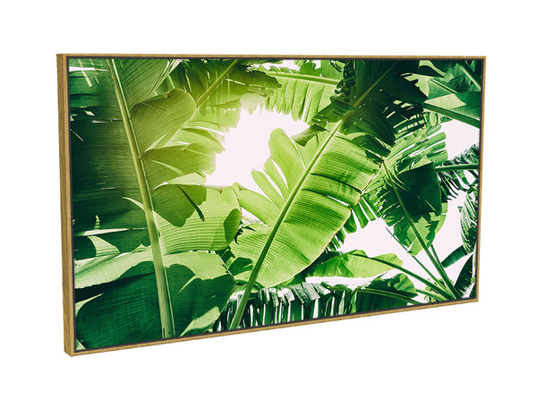 Tropical leafy green - large framed wall art #859